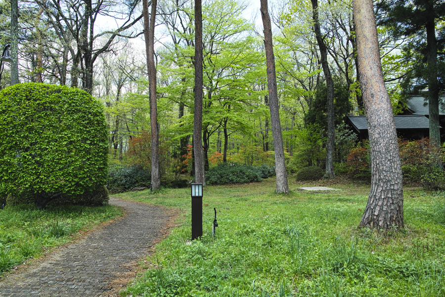 c0223825_23492691.jpg