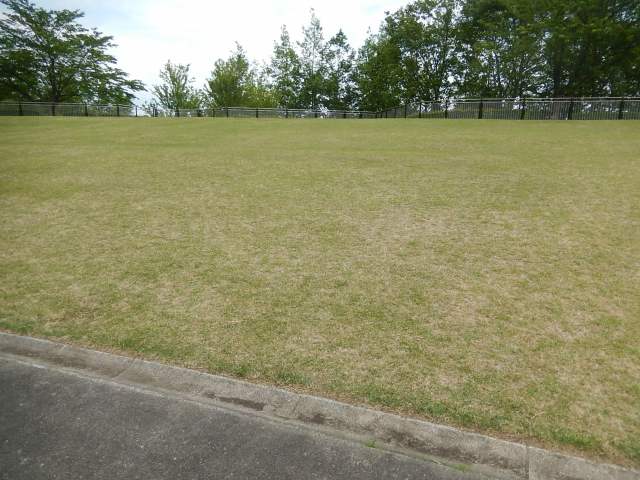 b0000829_819295.jpg