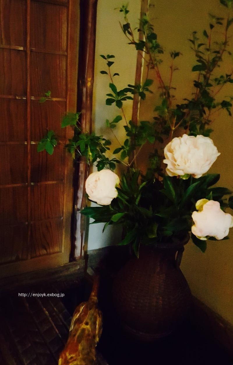 d0269832_14232062.jpeg