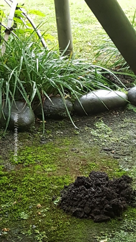 d0269832_14234116.jpeg