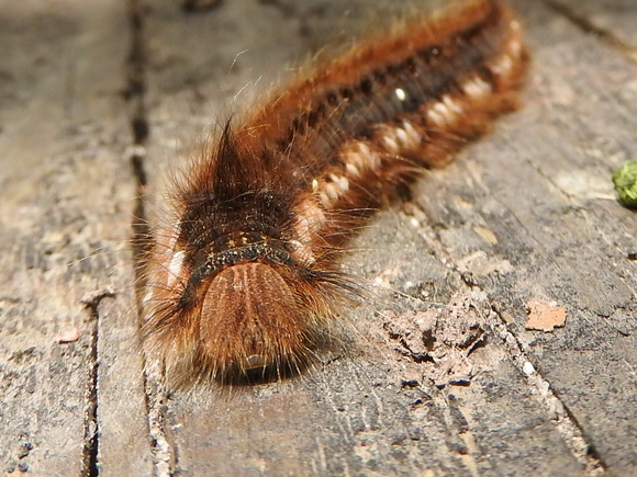f0118332_011218.jpg