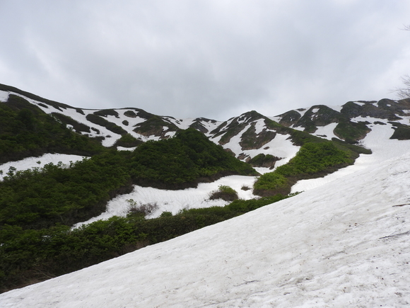 f0118332_075665.jpg