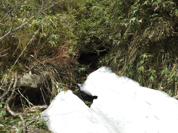 f0118332_082750.jpg
