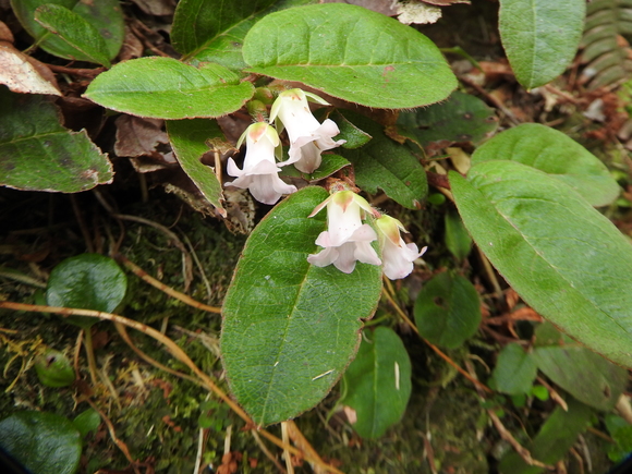 f0118332_094733.jpg