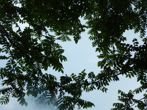 f0118332_22545445.jpg
