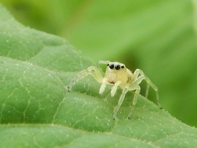 f0118332_2255427.jpg