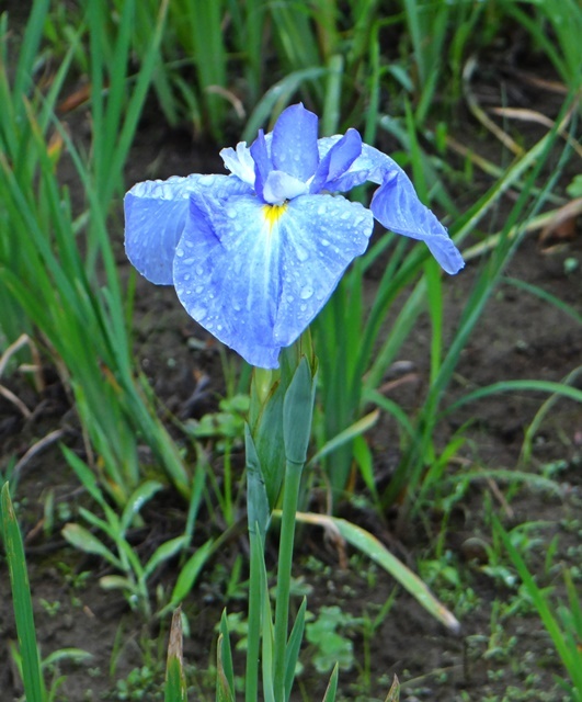d0037233_13543670.jpg