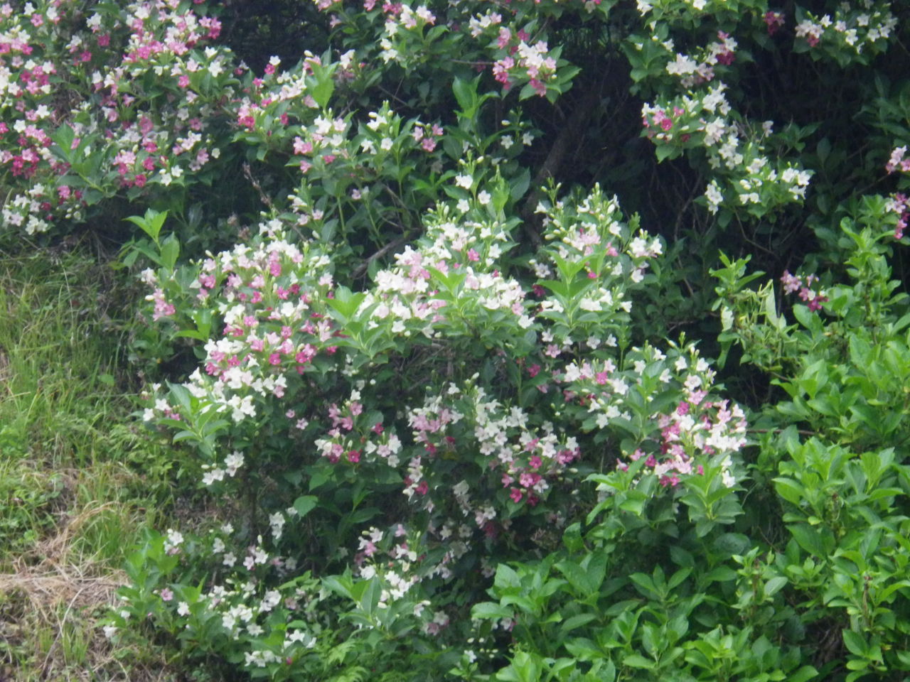 c0300035_12131082.jpg