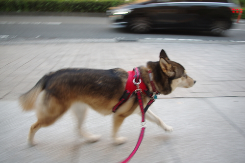 c0266644_013253.jpg
