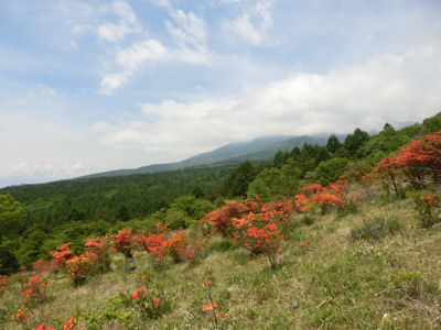 f0019247_10384853.jpg
