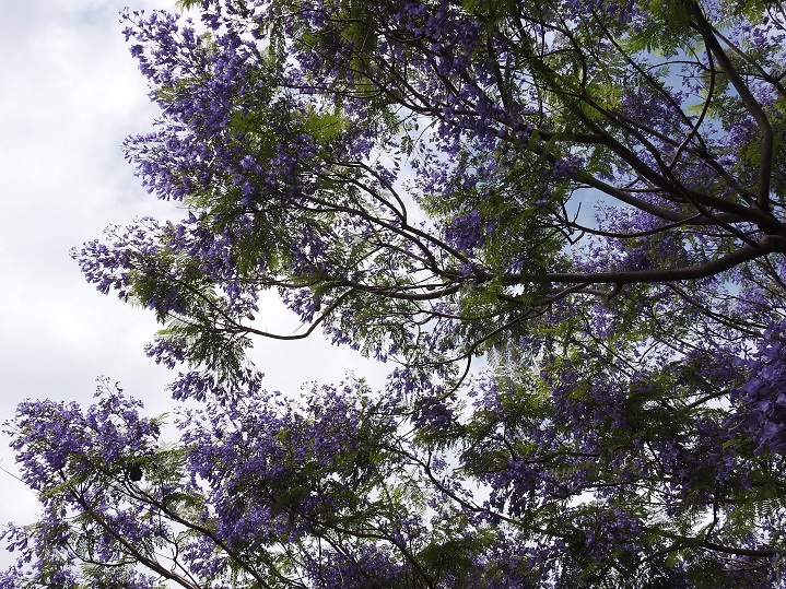 a0237349_153551.jpg