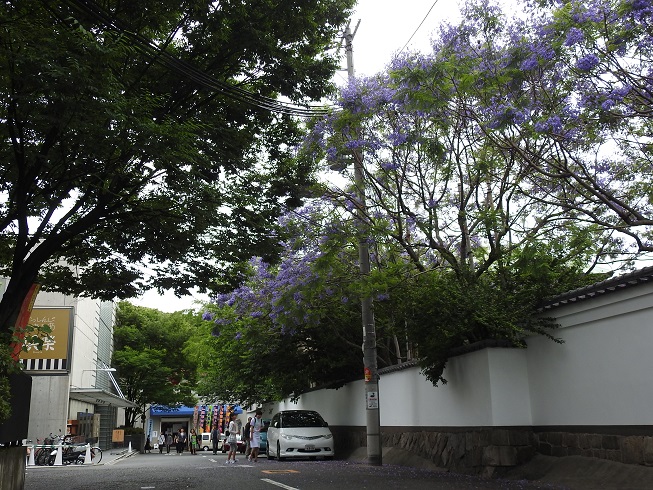 a0237349_1543172.jpg