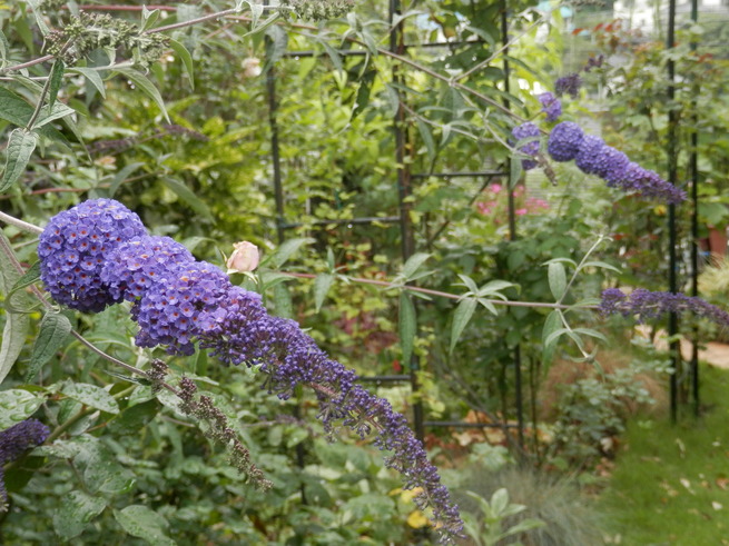 e0288951_210281.jpg