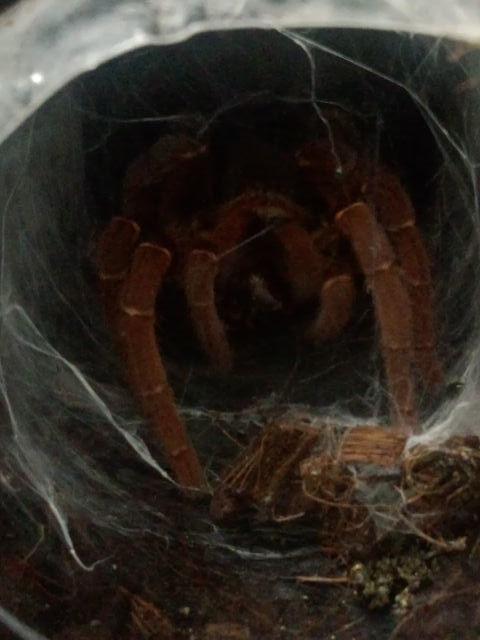 b0362459_10073994.jpg