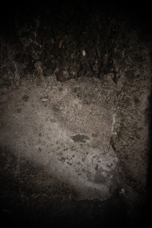 c0168172_21551551.jpg