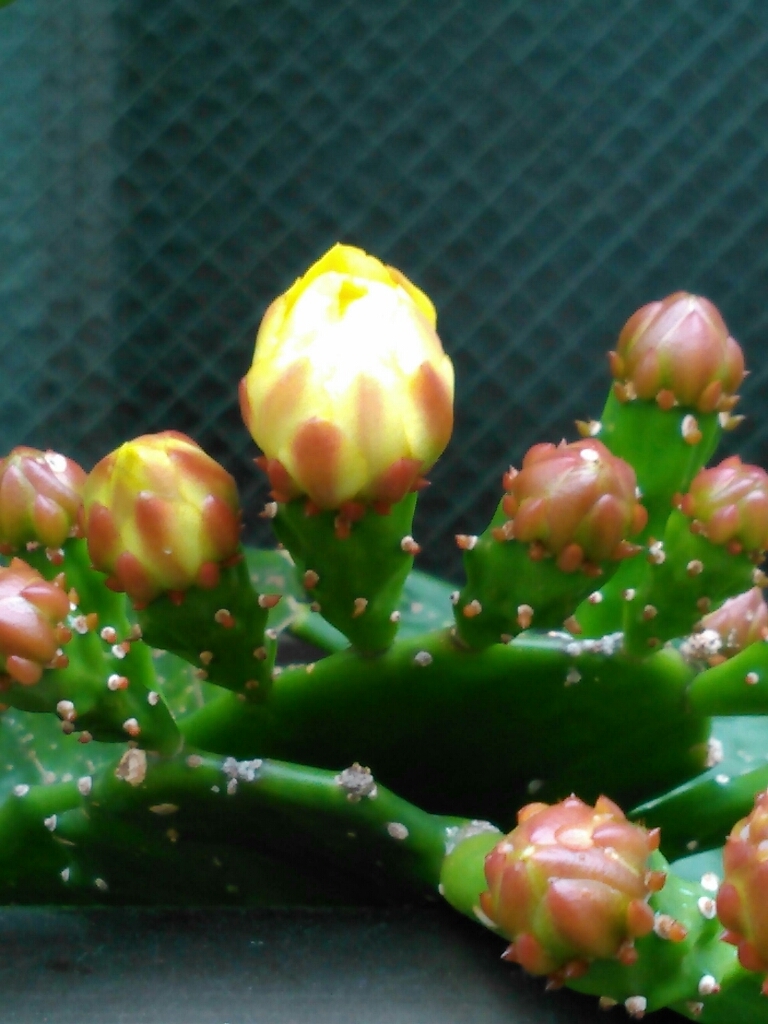 c0162773_15045874.jpg