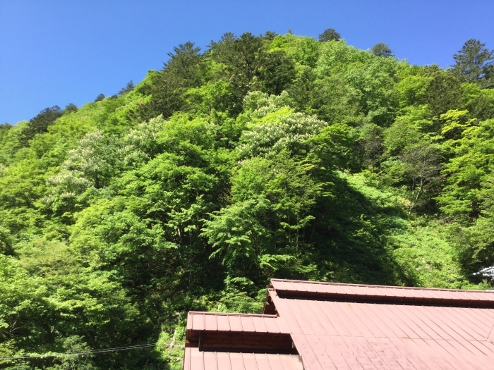 f0268294_14273922.jpeg
