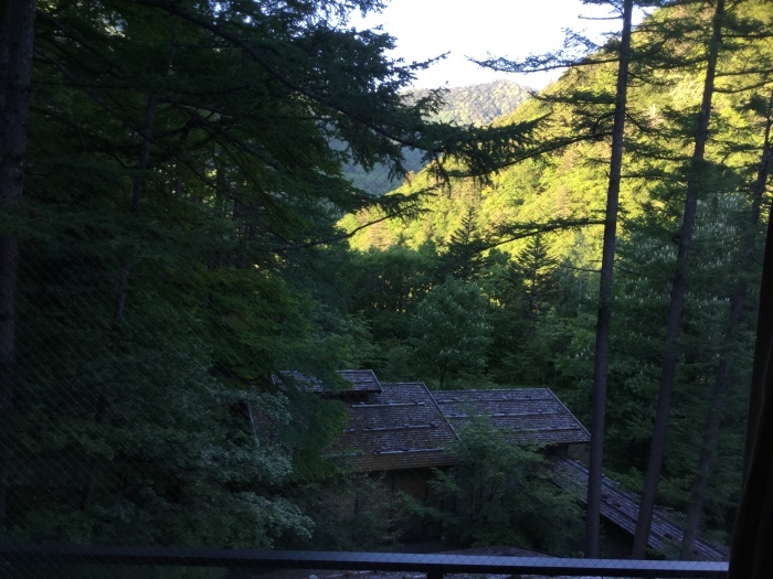 f0268294_15254402.jpeg