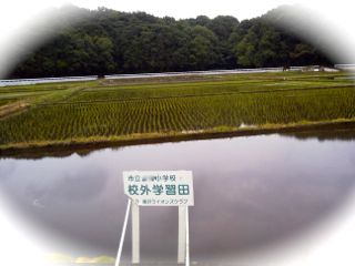 c0149195_22191266.jpg