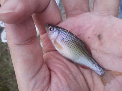 f0082402_2223306.jpg