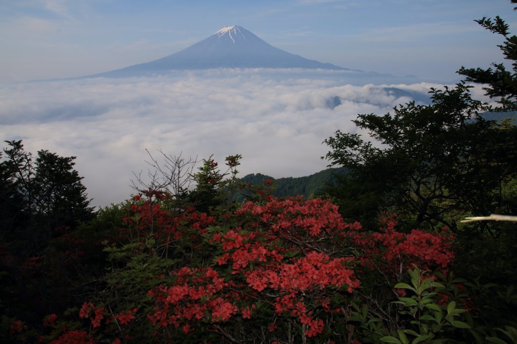 a0188405_00272400.jpg
