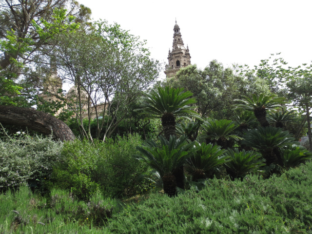 b0064411_06015819.jpg