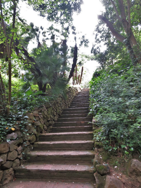 b0064411_06015895.jpg