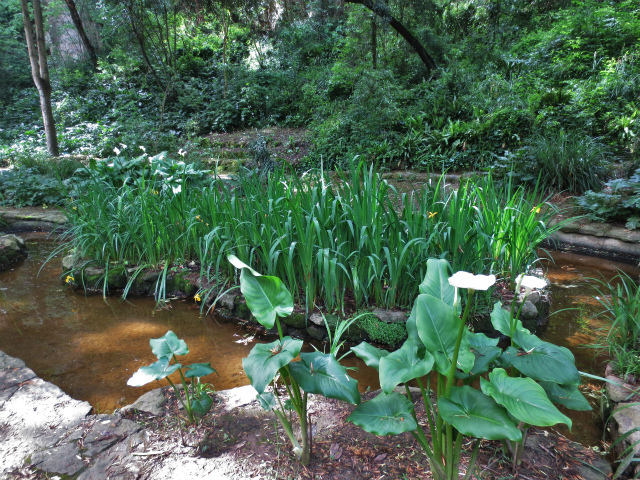 b0064411_06015926.jpg