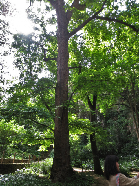 b0064411_06015933.jpg
