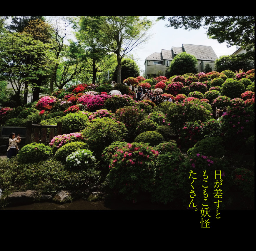 a0358016_12184191.jpg