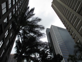 a0242019_5162321.jpg