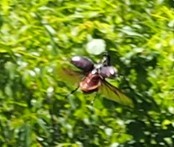 c0369423_22071420.jpg