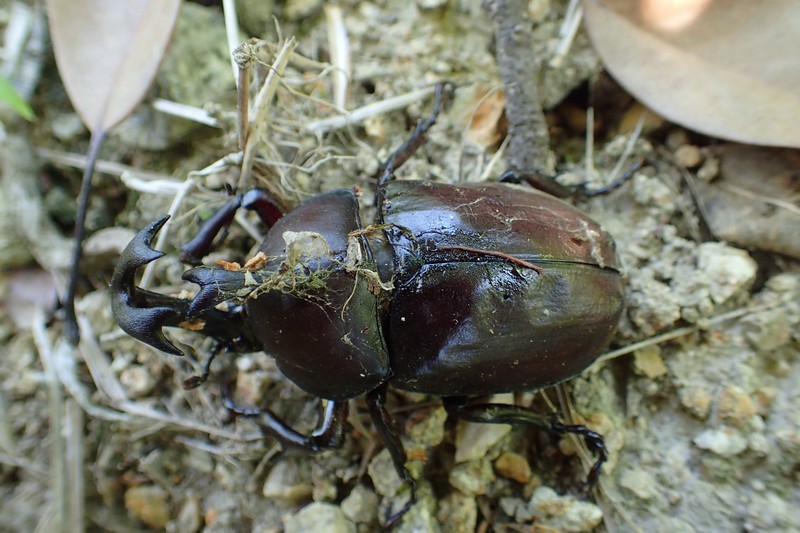 c0369423_22081551.jpg