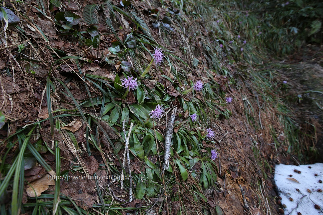 b0062024_7531891.jpg