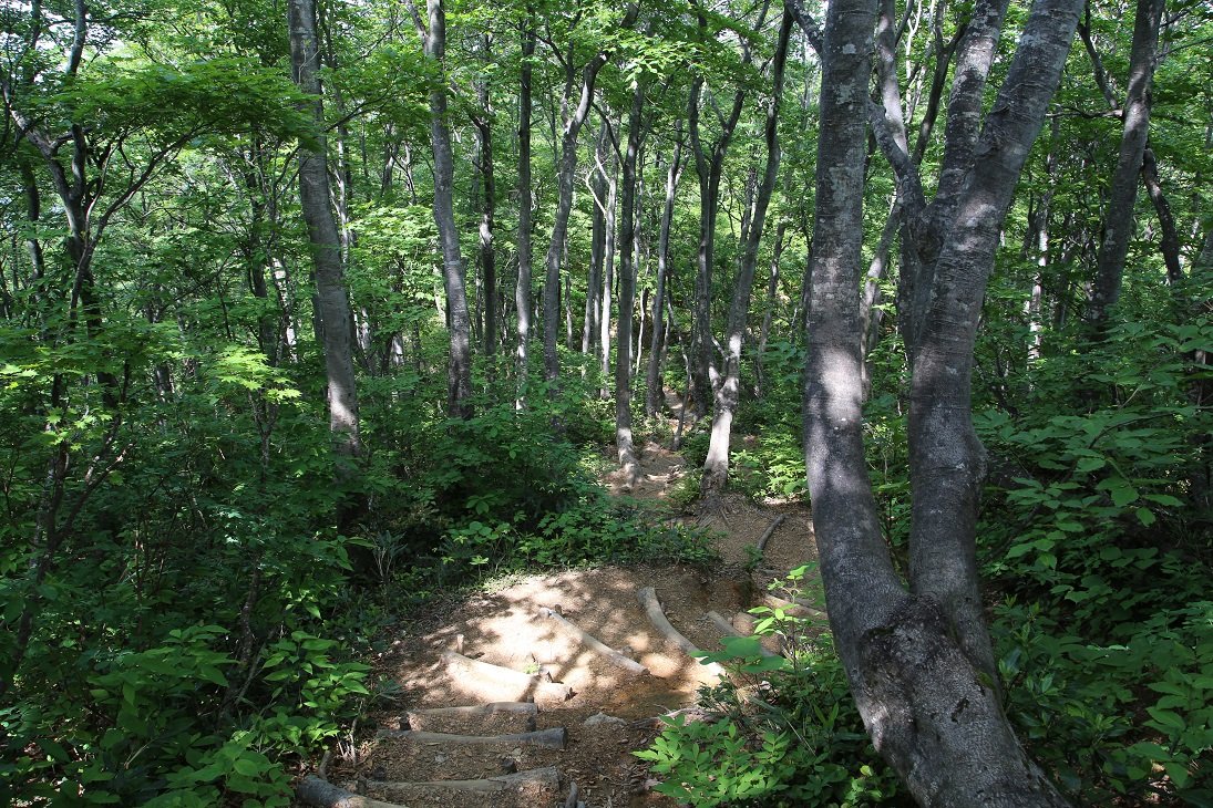 b0062024_8363357.jpg