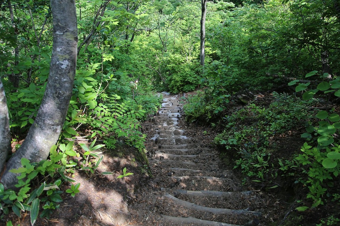 b0062024_837080.jpg
