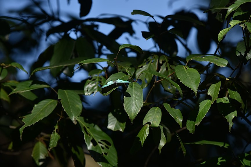 d0303129_4173214.jpg