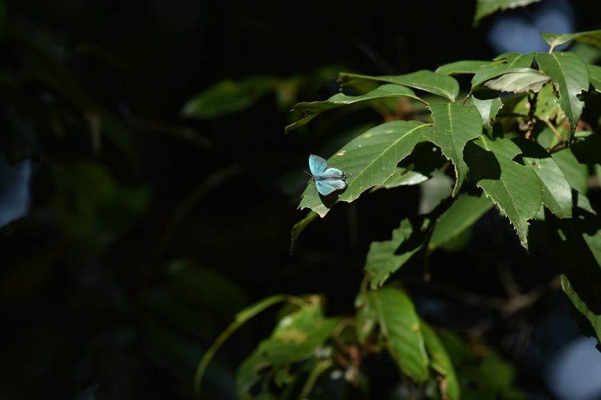 d0303129_4175947.jpg