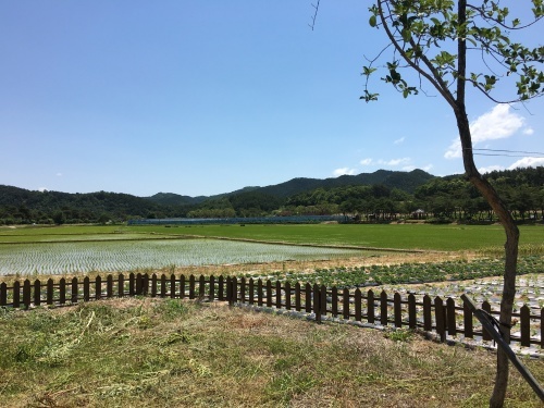 b0132630_00092979.jpeg