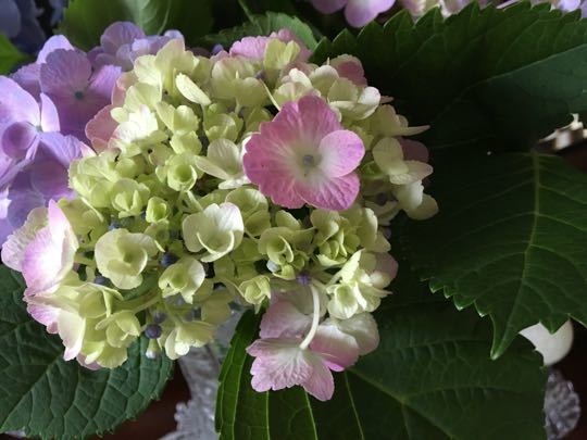 c0177332_07120798.jpg