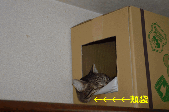 c0136736_202432.gif