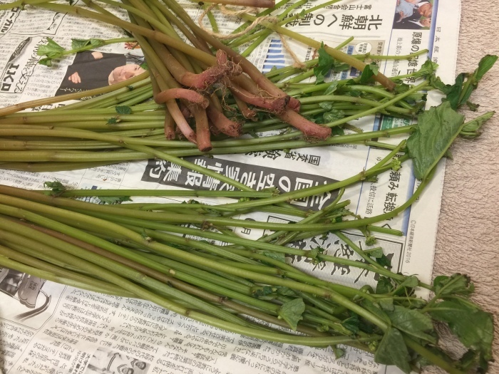 f0207146_19175206.jpeg