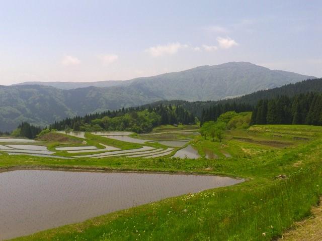 c0214359_2364990.jpg