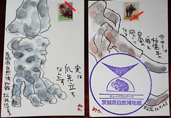 b0140270_818870.jpg