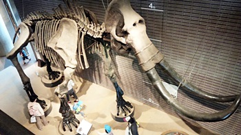 b0140270_843325.jpg