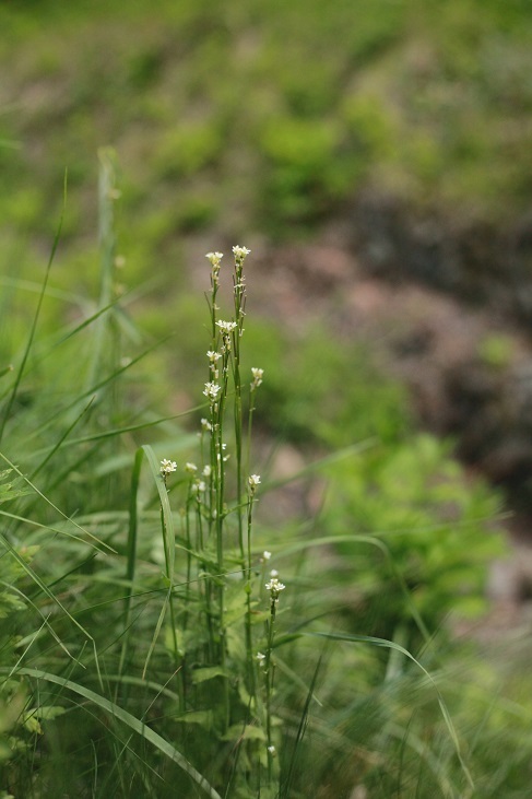 e0304170_19114517.jpg