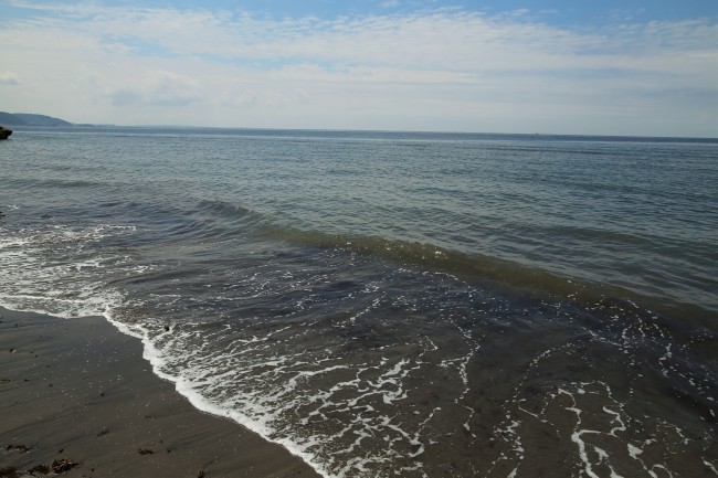 f0310873_23391209.jpg