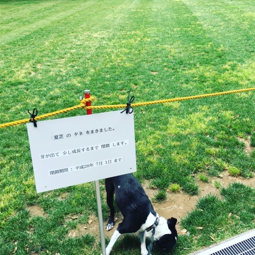 d0041575_21262653.jpeg