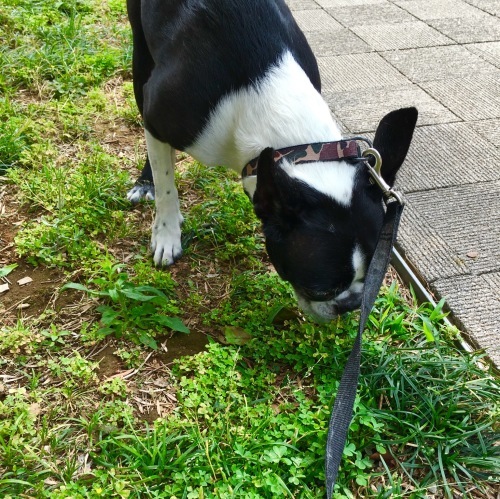 d0041575_21310431.jpeg