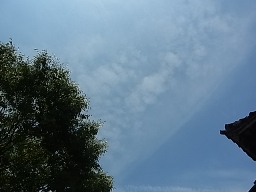 e0155085_22224278.jpg